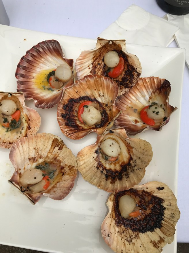 2016-11-12-12-32-15-2